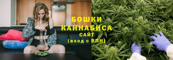Альфа ПВП Няндома