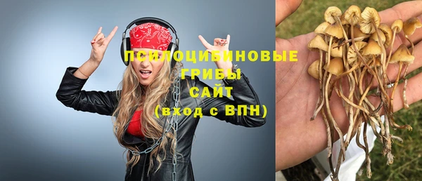 винт Нязепетровск