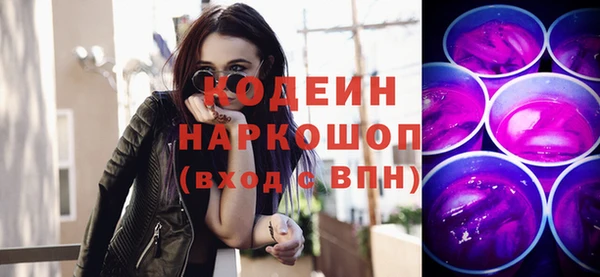 Альфа ПВП Няндома