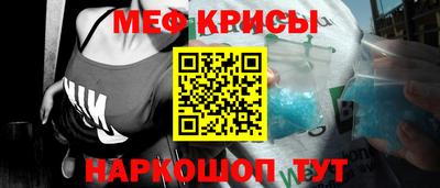 стаф Тула