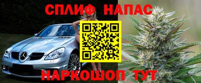 ГАЛЛЮЦИНОГЕННЫЕ ГРИБЫ Тулун