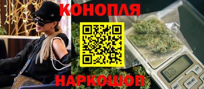 стаф Тула