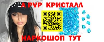 стаф Тула