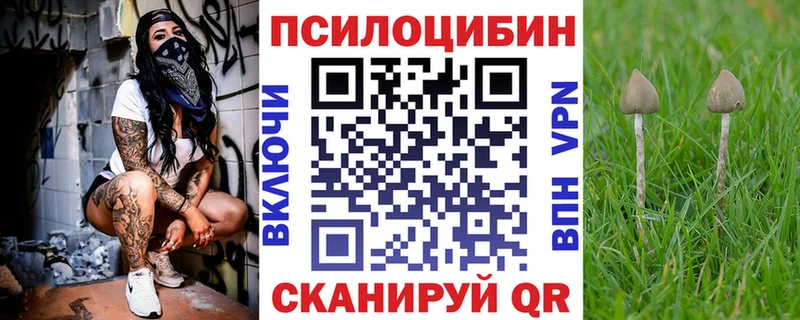 darknet Telegram  Североморск  Псилоцибиновые грибы Psilocybe 