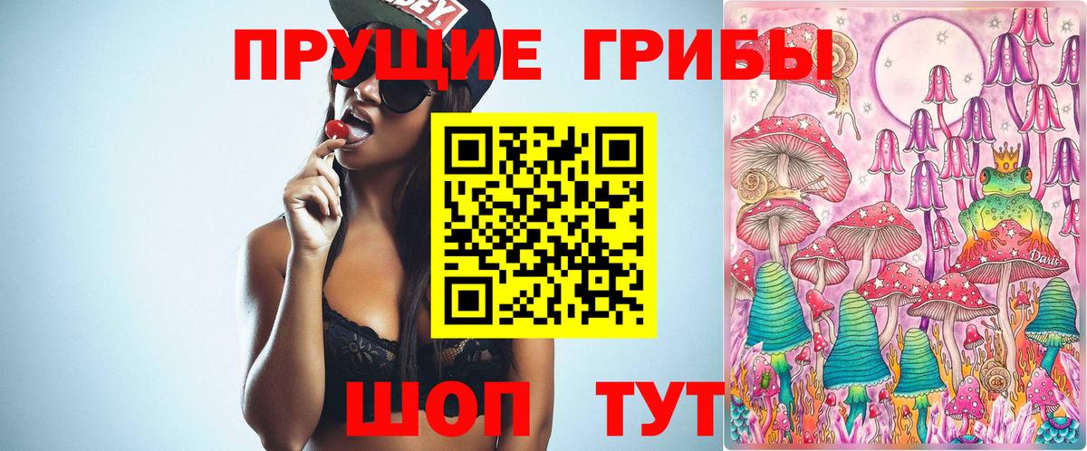Псилоцибиновые грибы GOLDEN TEACHER  Вход с VPN  где купить наркоту  Галлюциногенные грибы Cubensis  Североморск 